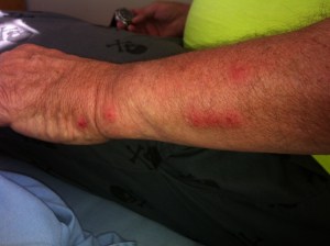 Men Working Beth Supervising