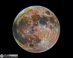 "Did it take long to find me? Moon Shadow, Moon Shadow."  Cat Stevens